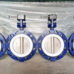 Wafer Type Split Body Design Butterfly valve