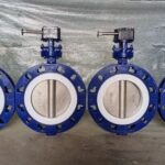 Wafer Type Split Body Design Butterfly valve