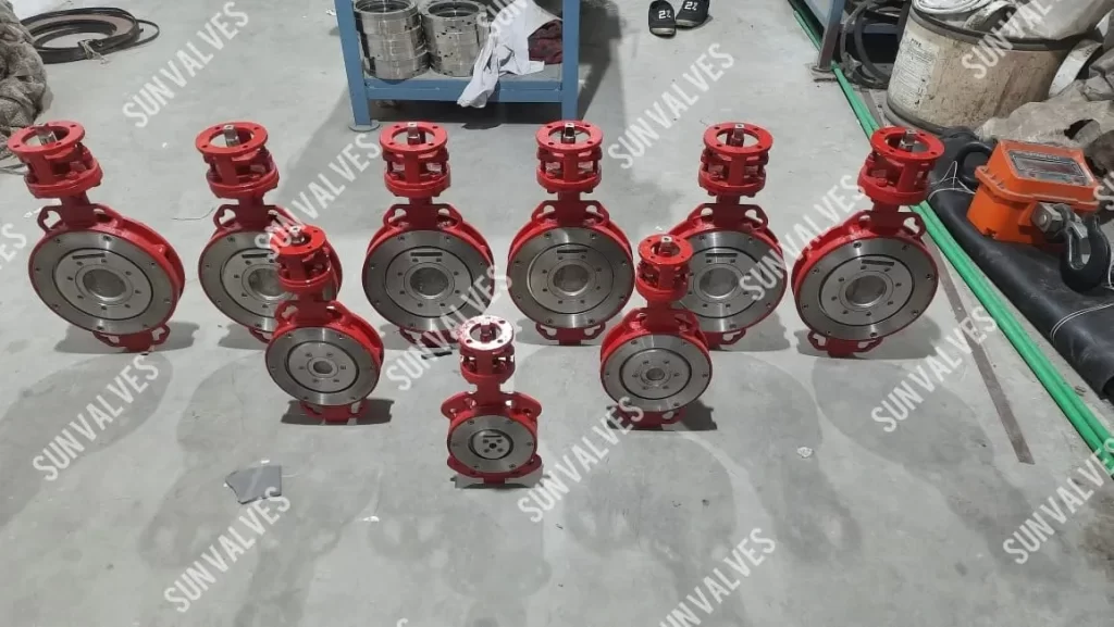Double Offset Butterfly Valve