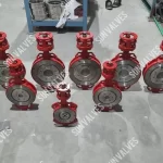 Double Offset Butterfly Valve