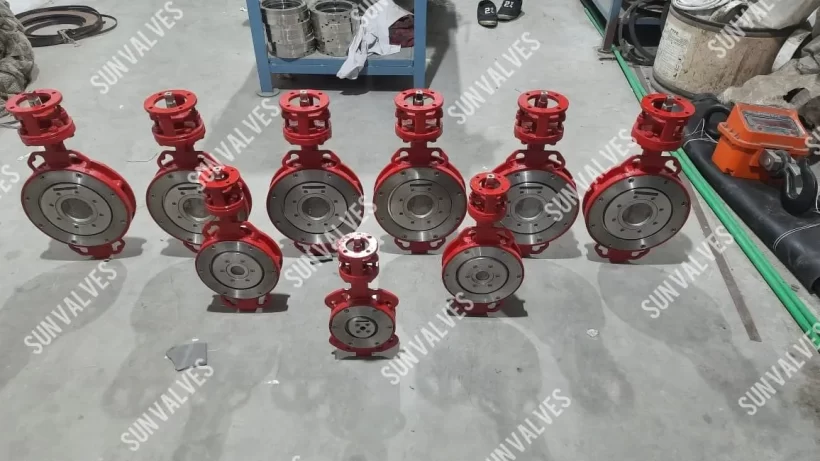 Double Offset Butterfly Valve
