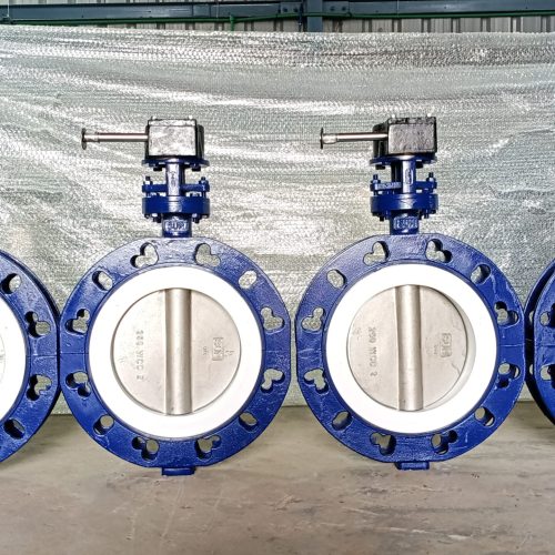 Wafer Type Split Body Design Butterfly valve (2)